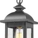 FEMILA Outdoor Pendant Lights for Porch, Exterior Hanging Latern Outdoor Hanging Light Fixture, Black Finish with Clear Glass, 4FD54H BK