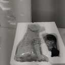 Dog Solar Garden Statues,Resin Dog Figurine Decorations with Solar Lights Lantern, Outdoor Decor Art for Lawn,Yard,Unique Housewarming Gift for Garden Home