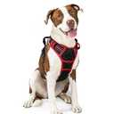 rabbitgoo Dog Harness, No-Pull Pet Harness with 2 Leash Clips, Adjustable Soft Padded Dog Vest, Reflective No-Choke Pet Oxford Vest with Easy Control Handle for Large Dogs, Black & Red, L