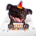 3 x Staffordshire Bull Terrier Birthday Card 3D Pop Up  Staffy with Party Hat & Birthday Cake, Funny Birthday Card for Staffy Lovers, Staffordshire Bull Terrier Mom Dad Gift, 6x6 Inch, Includes Envelope