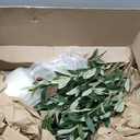 LOMANTO Artificial Olive Tree 5FT - Lifelike Faux Plants Indoor,Modern Fake Trees with Silk Leaves & White Planter, Fake Olive Plant for Home Decor, Office Decor, Living Room, Housewarming