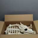 JOYIN Howling Wolf Skeletons Halloween Decorations 34” Skeleton Dog with Red LED Eyes, Auto-Chin Opening and Closing, Movable Posable Joints Animal Skeleton for Outdoor Indoor Garden Graveyard Decor