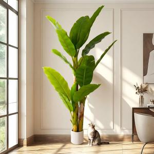 6ft Artificial Banana Tree Extra Tall Fake Plants Indoor for Living Room Large Faux Tree High End Realistic Floor Plant Big Silk Tree for Home Office Pet Friendly Large Indoor Plant Tropical Decor