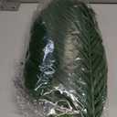 CCINEE 16 PCS Artificial Palm Leaves, Faux Large Palm Fronds Fake Tropical Plant Simulation Safari Leaves with Stems for Home Hawaiian Luau Party Jungle Beach Theme Party Decoration