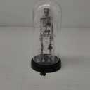 Halloween Decorations-Light-Up Skull with Spider Halloween Decor Indoor Cute Skull Tabletop Decor for Party Home Kitchen and Fireplace, 8.46"x4.2" Flickering LED Terror