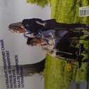 Medline Ultra Lightweight Transport Wheelchair for Adults, Foldable, 19-Inch Seat Width, Red Frame, Black Upholstery