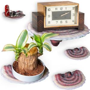 Wiosi 5-Piece Turkey Tail Reishi Mushroom Floating Shelves for Decorating Wall | Shelves for Room Wall | Perfect Floating Shelves for Room Decor | Leopard Gecko Tank Accessories