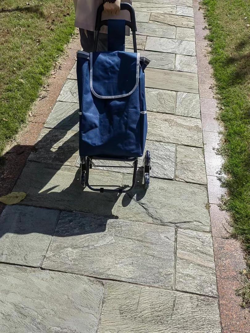HUYINGC Portable Trolley Folding Cart with Wheels Good for Shopping Carry Things-Blue-T6