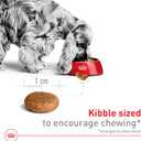 Royal Canin Size Health Nutrition Medium Adult Dry Dog Food, 17 lb Bag (EXP 09/16/35)