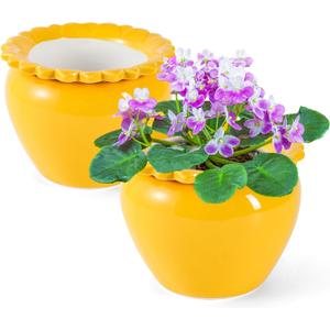 2pcs 6.5inch Design Self Watering Pot for Indoor Plants Yellow Indoor Plants Herbaceous Plants Flowers Terracotta Pots African Violet Pots Ceramic Orchid Planter Absorbent Inner Pot