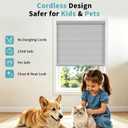 MYshade Cellular Shades, Cordless Light Filtering Windows Blinds for Bedroom, Bathroom, French Door, Living Room Pull Down Sheer Fabric Accordion Color-Matched Window Shades 34" W X 72" H, Grey