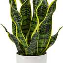 Hollyone Artificial Snake Plant Potted Faux Sansevieria Trifasciata Plants, 16.5" Tropical Fake Snake Plants in White Pots for Home Office Room Indoor Decor Housewarming Gifts