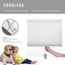 Changshade Cordless Cellular Shades, Light Filtering Honeycomb Blinds for Indoor Windows Bedroom, Pull Down Pleated Accordion Blind Easy Install, Shade Size 38" Wx64 H, White