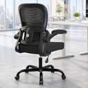 Ergonomic Mesh Office Chair with Adjustable Lumbar Support, Black