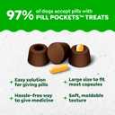 Greenies Pill Pockets for Dogs Large Size, Dog Treat Pouch for Capsule Medication, Hickory Smoke Flavor, 15.8 oz. Pouch (EXP 05/03/27)