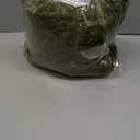 50x70 Inch Green Throw Blanket - Soft & Fluffy Fleece, Cute & Aesthetic, Perfect for Sofa, Couch, Chair, Bed, Living Room & Bedroom, All-Season Use, Plush & Cozy Decorative Blanket