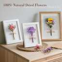 36 PCS Charming Dried Flowers Bouquet for Vase Various Dried Wildflowers with Stems Mini Handmade Wildflowers Natural Real Flowers Bulk Flowers for Crafts DIY Wedding Decor (Various Series)
