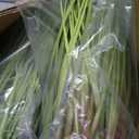 Jexine 4 Pack 2ft/24inch Artificial Grass Plant Outdoor Artificial Greenery Grass in Pot with Fake Brown Cattails for Spring Room Office Indoor Outdoor Decor Housewarming Gifts