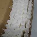 CANDLE CHARISMA , 50 PACK