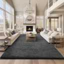 Ophanie Area Rugs 9x12 Living Room, Large Grey Bedroom Carpet, Big Shag Indoor Thick Soft Nursery Rug, Gray Fluffy Carpets for Boy and Girls Room Dorm Home Decor Aesthetic (9' x 12', 1- Grey)