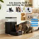 Gardner Pet 2.2 Gallon Automatic Dog Water Bowl Dispenser 8.5L Gravity Water Feeder with Stainless Steel Bowl & Maifan Stone Filter, BPA-Free for for Cats and Dogs (Black, 2.2 Gallon)