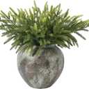 30 PCS Artificial Christmas Norfolk Pine Stems Branches, Real Touch Natural Droopy Faux Pine Picks 13 Inch Soft Fake Christmas Picks for Crafts Vase Garland Wreath Table Holiday Home Decor