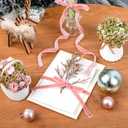 Pink Velvet Ribbon 3/8'' 100 Yards Velvet Fabric Vintage Ribbon for Christmas Tree, Gift Wrapping, Flower Bouquet, Wreath Decorations, Bow Making (Pink, 3/8"-100 Yard)