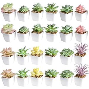Tiita 20 Set Artificial Faux Succulents in Pots Fake Plants Plastic Arrangement Planter Small Mini Tiny Decoration for Home Office Desk Window Sill Bathroom Bedroom Outdoor Indoor