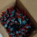 Brizled Red & White Christmas Lights, 33ft 100 LED Christmas Tree Lights, 120V UL Listed Mini String Lights Connectable, Plugin LED Xmas Lights, Indoor Christmas Lights for Outdoor Party Home Decor