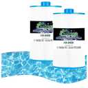 C-8450 Spa Filter Cartridge Replaces for Filbur FC-3310, PCS50N, 100593, 3301-2261, 80501 Maax Spas/Coleman Spas, 50 sq.ft Hot Tub Filter, 2 Pack