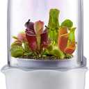 Venus Fly Trap Terrarium Pot with Timer Grow Light & Fan, Smart Planter for Succulents Butterwort, Carnivorous Plants Pot, Christmas Birthday Gifts for Women Garden Lover (no Plant)