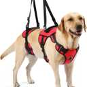 Dog Lift Harness for Senior & Injured Pets – Full-Body Support Sling with Breathable Mesh, Front/Rear Leg Assist for Arthritis, Hip Dysplasia & Post-Surgery Recovery (Large Breeds)