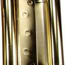 Hinge Outlet Adjustable Double Action Spring Hinge, Saloon, Swinging or Cafe Door Hinges - Highly Rust-Resistant, Self-Closing, Dual-Swing (6 Inch, Brass)