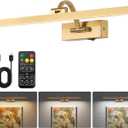 Wireless Picture Lights for Wall,23.5 Inch Brass Art Light for Paintings,Battery Operated Picture Lights with Remote Control,Dimmable Rechargeable Art Lamps for Picture Frame,Gallery