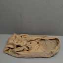 KOOLTAIL Warm Dog Winter Coat for Small Dogs, Waterproof Puppy Jacket with Leash Hole, Cold Weather Pet Vest for Winter, Soft Pet Hoodie Sweater Sweatshirt Clothes for Puppy Cats Girls Boys Beige M