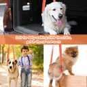 Mixweer 2 Pcs Dog Support Harness for Back Legs Dog Rear Lifting Sling Aid with Handle and Shoulder Strap Hind Leg Support for Pet Mobility Helps Puppy with Poor Stability Joint Injuries(Orange)