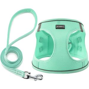 Dog Harness with Leash Set, No Pull Adjustable Reflective Step-in Puppy Pet Vest Harnesses for Small Medium Large Dogs and Cats,Green XXS (XXS(Chest:10"-12"))