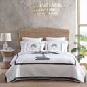 Tommy Bahama - Queen Quilt, Reversible Cotton Bedding, Breathable Bedding Set for All Seasons (Palm Island Green, Queen)