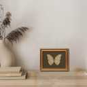 Gold Framed Wall Art Vintage Butterfly Canvas Wall Art White Butterfly Moody Insect Artwork Prints Picture for Living Room Bedroom Farmhouse Bathroom Office Decor, 8x10