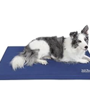 Warfort Durable Outdoor Dog Bed Stable Crate Mat Indoor cat Bed Anti Mild Bite Kennel Pad with Removable Fully Waterproof Cover (Blue, Medium(30x19x1.5in))