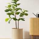 LE TAUCI 12 Inch Pot for Plants, Ceramic Planters for Indoor Plants, Mid-Century Modern Cylinder Flower Pots with Drainage Hole, Fits Fiddle Leaf Fig & Monstera, Home Decor, Sand Beige