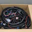 Standalone Wiring Harness, 4L60E DBC, Red/Blue PCM, Compatible with 1997-2006 GM LS1 Vortec Engine 4.8 5.3 6.0 L, LS Swap Engine Harness, Stand Alone Wire Harness, Drive by Cable Throttle Body