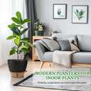 Fielda 8/10/12 Inch Self Watering Pots for Indoor/Outdoor Plants - Large Plastic Planter with Drainage Holes, Water Level Indicator & Deep Reservoir, Modern Decorative Flower Pots (Black)