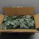 9FT Prelit Christmas Garland with Lights, Multi-Color Lights/Battery Operated/Timer, Lighted Artificial Eucalyptus Christmas Garland for Mantle Table Stairs Railing Xmas Indoor Outdoor Decorations