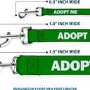 Buckle-Down Dog Leash | Pet Quote Adopt Me Green White Durable Stylish For Walks, 6 Feet Long - 1" Wide