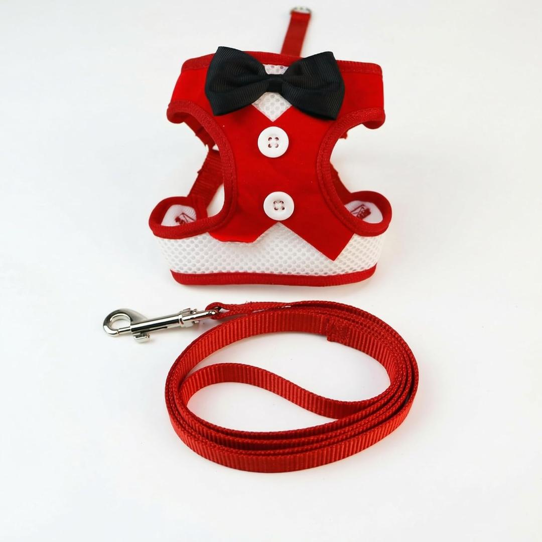Cat Harness and Leash Set with Bow Dress Overlay, Size S Red, Adjustable Straps and Quick-Release Buckle, Outfit for Daily Walks and Photos