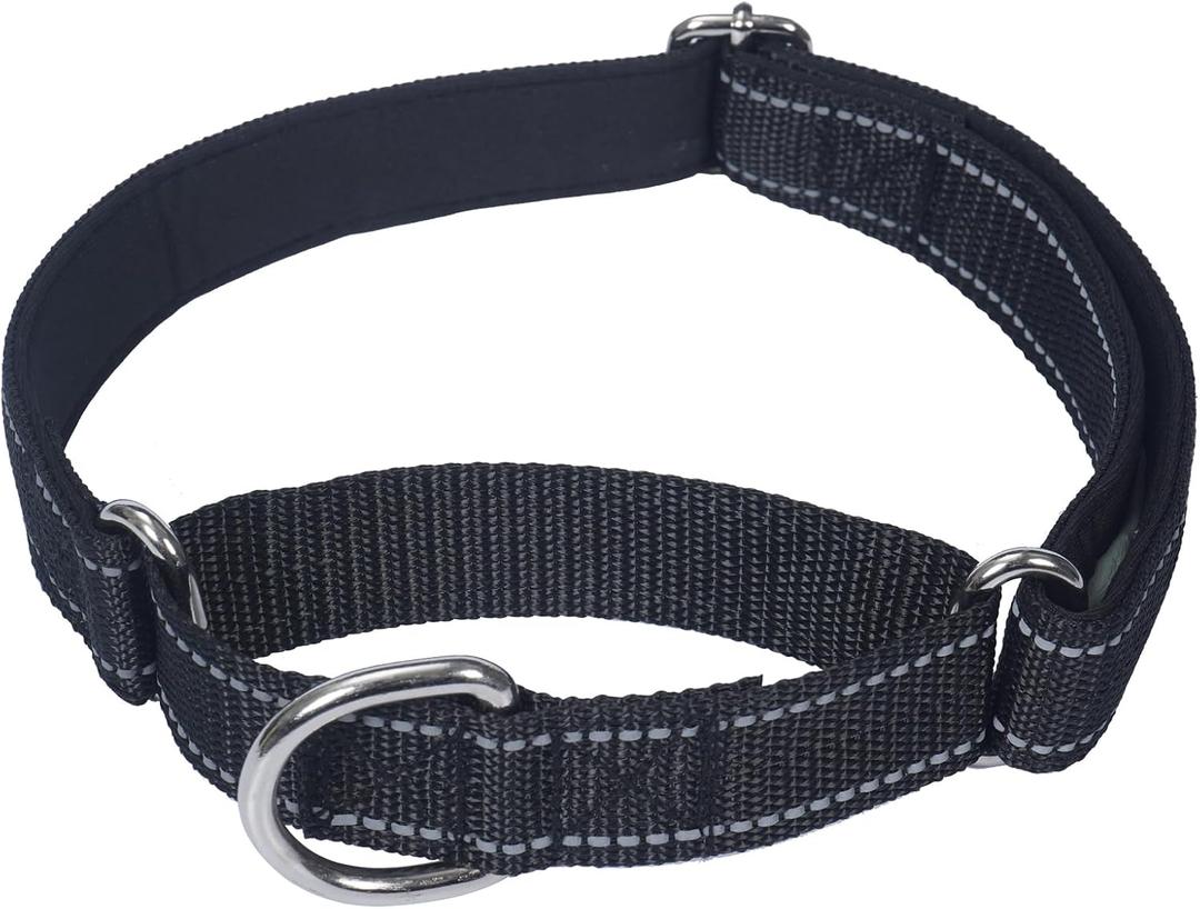 SGODA Martingale Dog Collar, Reflective Nylon Padded Dog Training Collars for Small Dogs, Black S (Small (Neck: 12"- 15"))