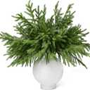 WeGuard 16 Pcs Real Touch Artificial Norfolk Pine Branches, 18 Inches Faux Norfolk Pine Stems Fake Christmas Greenery Picks for Vase DIY Garland Wreath Christmas Decorations Indoor Outdoor