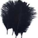 Shekyeon Black 10-12inch 25-30cm Ostrich Feather Home Decoration DIY Craft Pack of 10