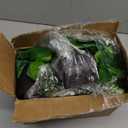 Sggvecsy Fake Hanging Plants 6 Pack Artificial Hanging Eucalyptus Plants Potted Greenery Faux Mandala Vine String of Pearls Boston Fern Ivy Vine Leaves Pea Pod for Home Indoor Outdoor Shelf Wall Decor